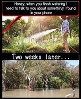 Honey watering garden